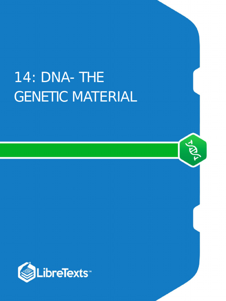 Full | PDF | Dna Replication | Primer (Molecular Biology)