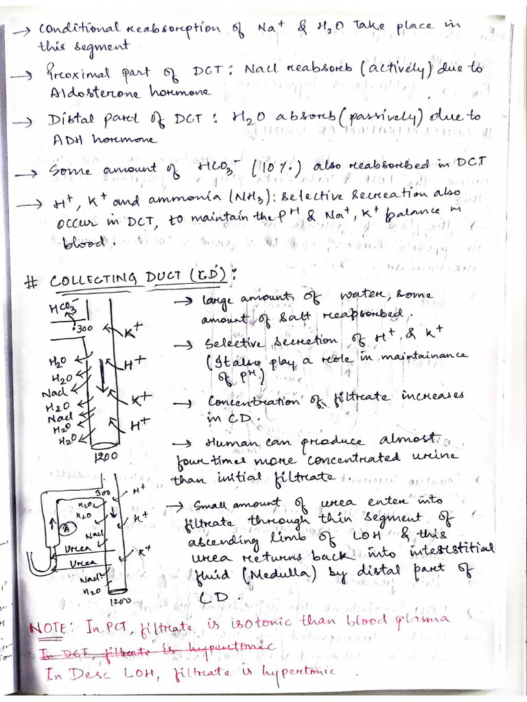 Today's Notes | PDF