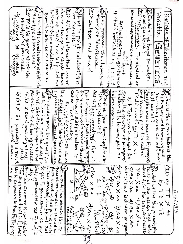 GENETICS 2m-1 | PDF