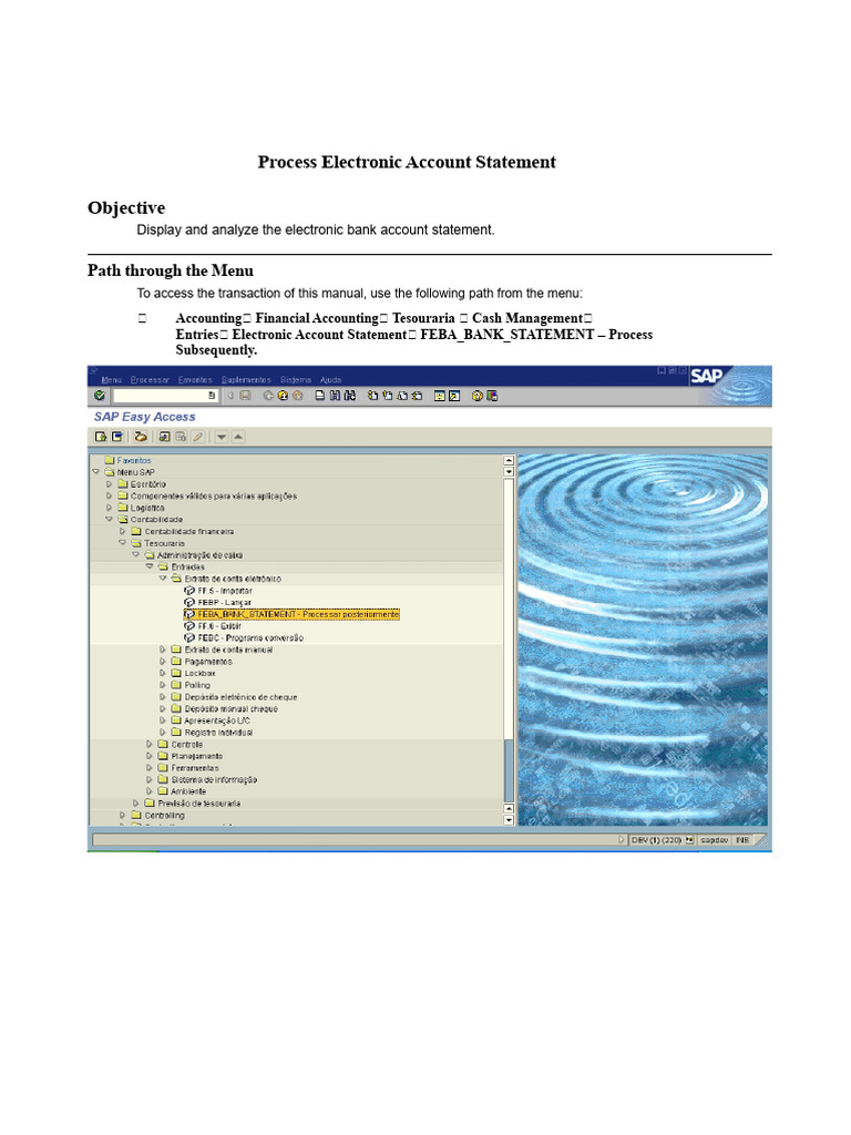FEBA - Process Account Statement | PDF | Software | Computing
