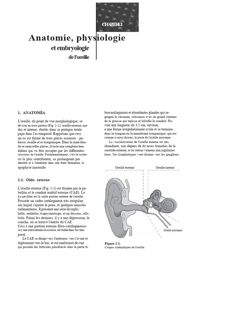 Anatomie et physiologie de l'oreille | PDF | Oreille | Système vestibulaire