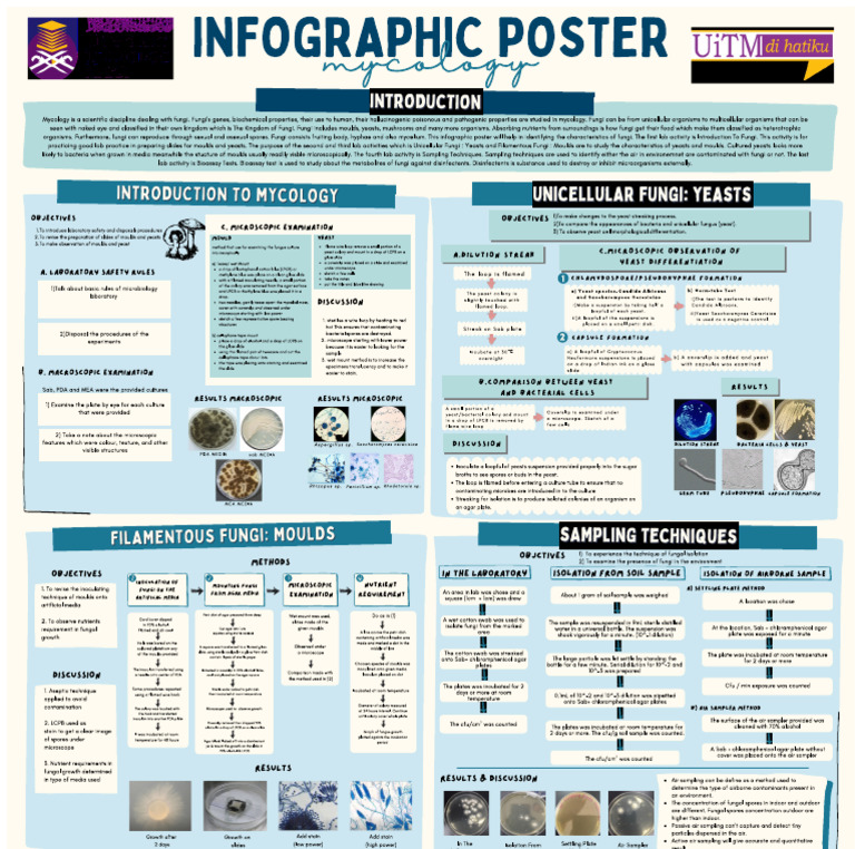 Poster de Laborator Mic260 | PDF