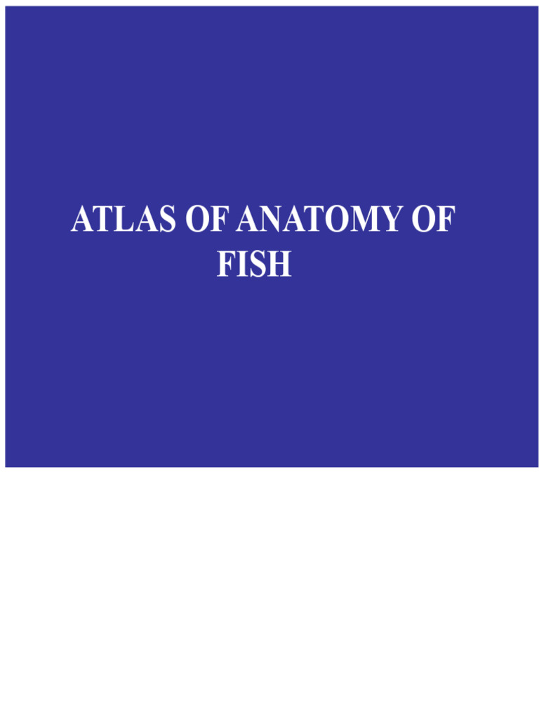 Atlas of Fish Anatomy | PDF