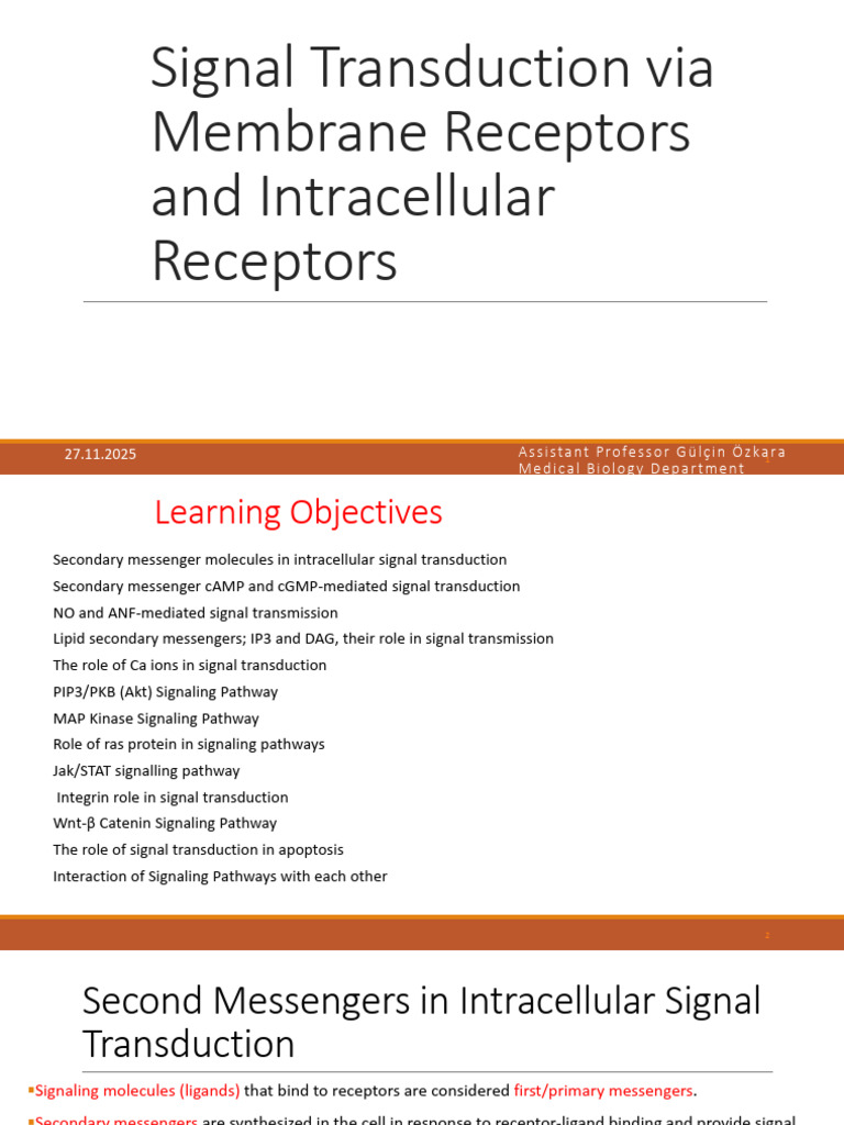 Signal Transduction Mechanisms Explained | PDF | Signal Transduction ...