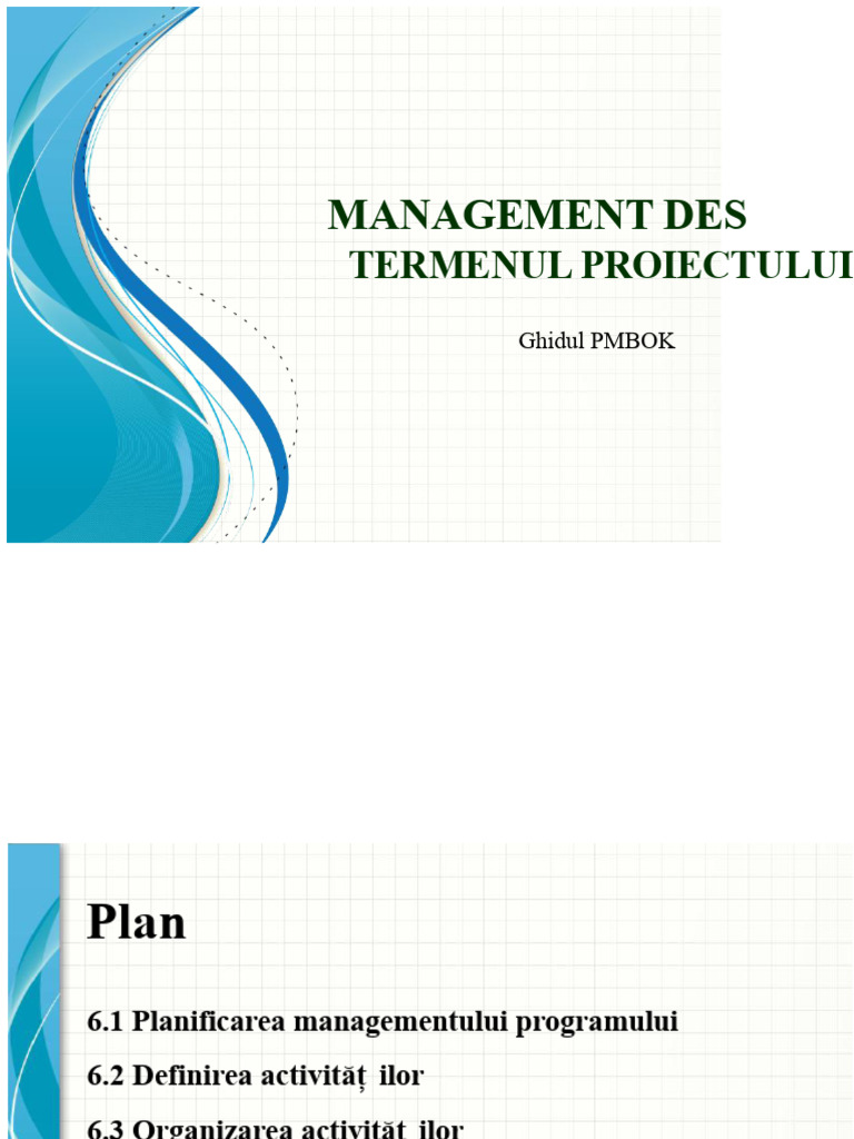 3 Managementul Termenelor Proiectului | PDF