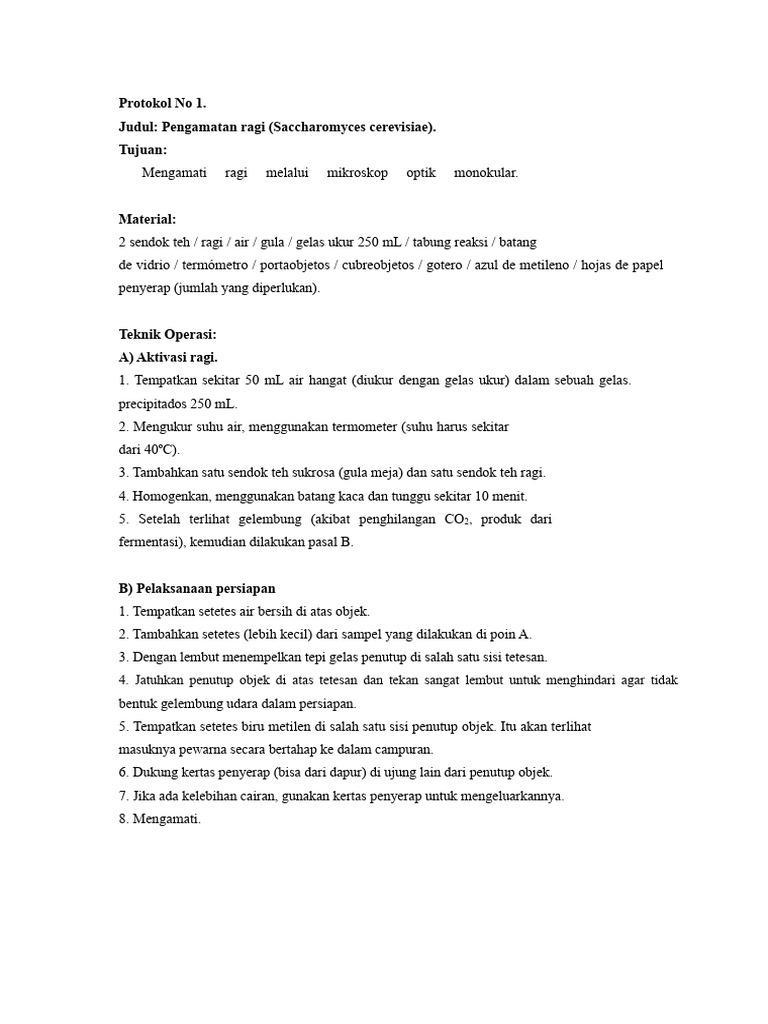 Pengamatan Ragi | PDF