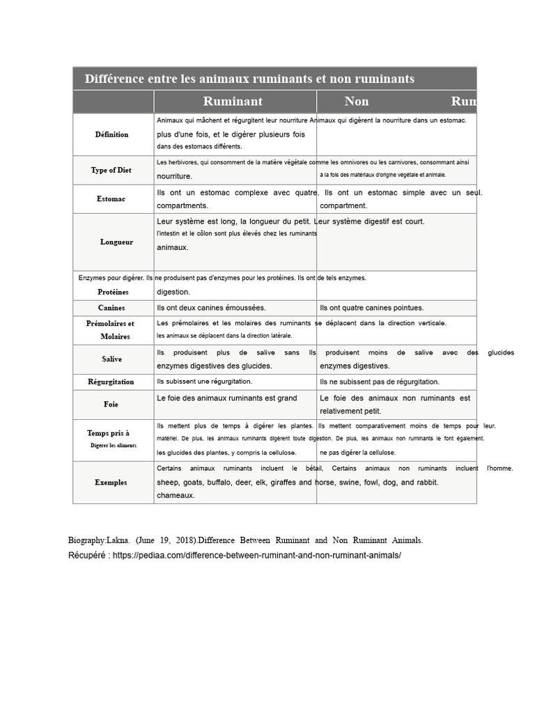 Ruminants vs Non-Ruminants : Principales Différences | PDF | Rumination ...