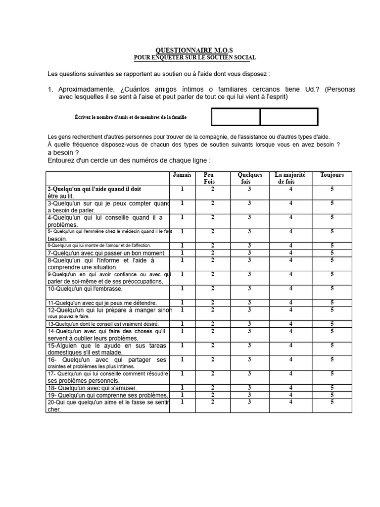 Questionnaire sur le soutien social | PDF