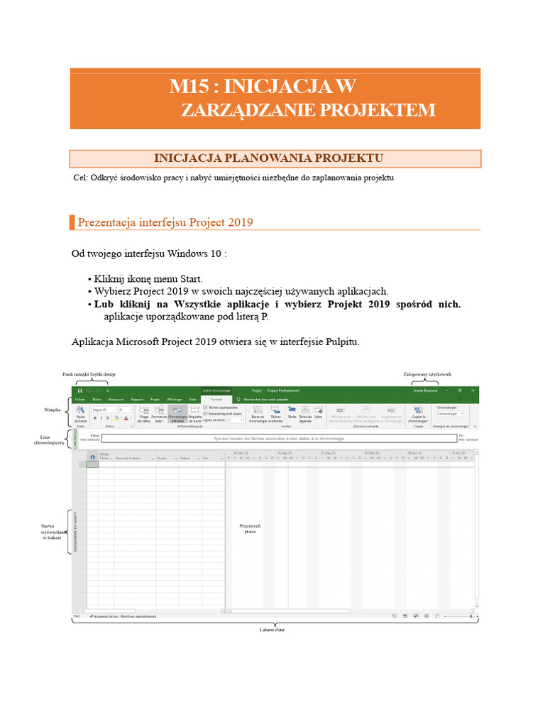 Microsoft Project 2019 | PDF