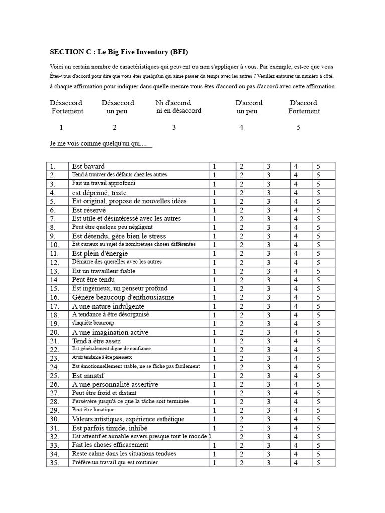 Évaluation du Big Five Inventory | PDF | Psychologie | Échecs