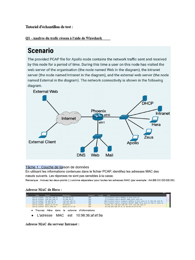 Analyse du trafic réseau avec Wireshark | PDF | Protocole de contrôle ...