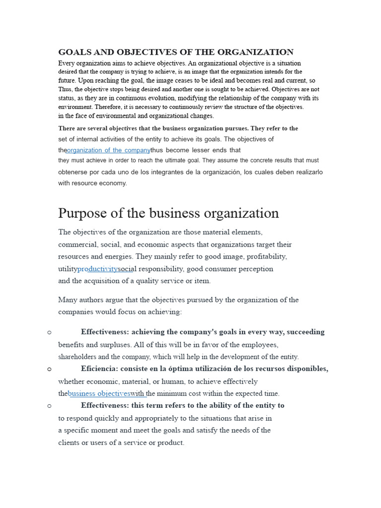 Goals and Objectives of The Organization | PDF | Goal | Profit (Economics)