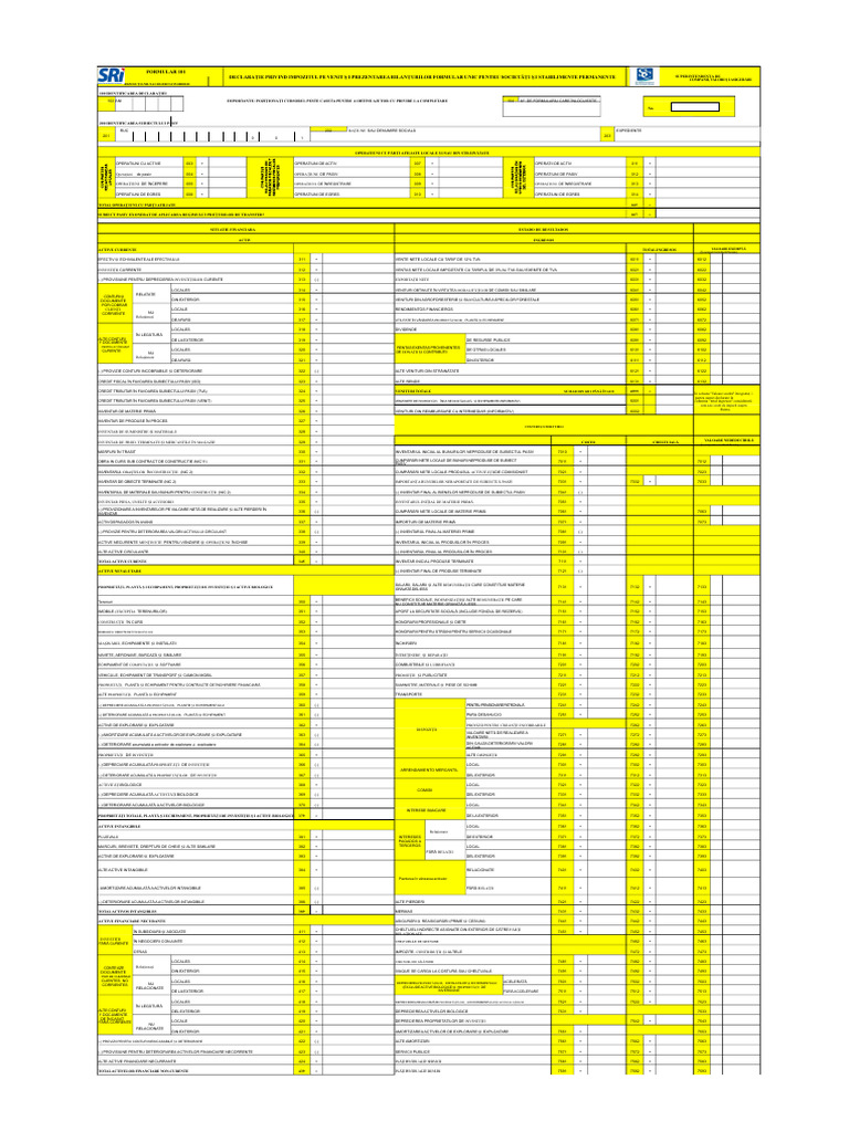 Copie A Formularului 101 | PDF
