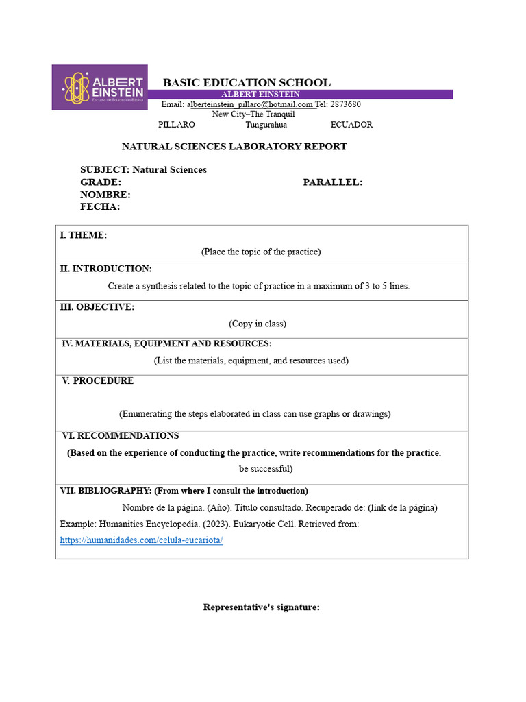 Natural Sciences Lab Report Template | PDF