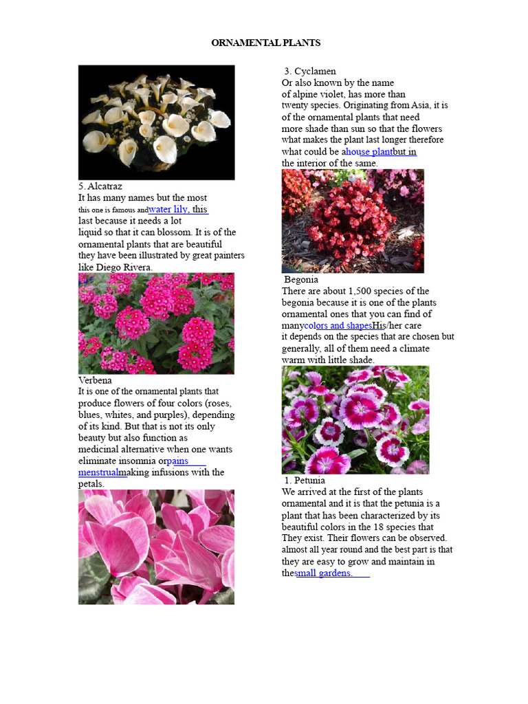 Ornamental Plants | PDF | Horticulture | Plants