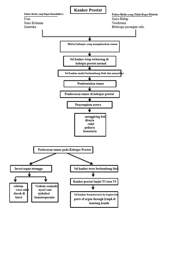 Patofisiologi Kanker Prostat | PDF