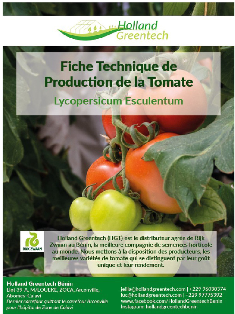 Varietas dan Protokol Produksi Tomat | PDF