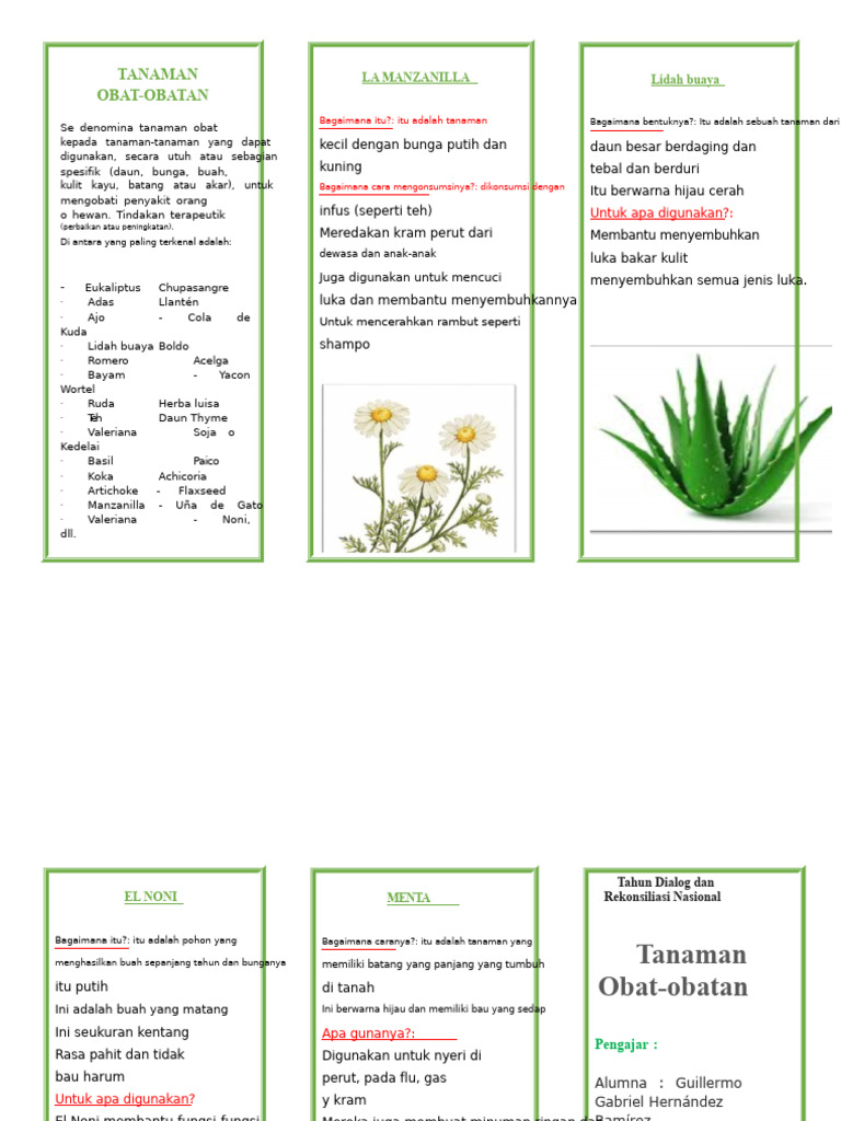 Triptik Tanaman Obat | PDF