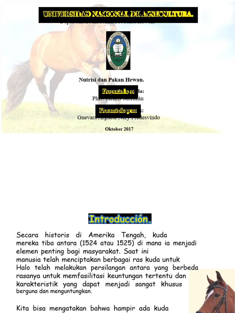 Ras Kuda | PDF