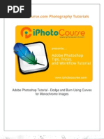 Download Create Great Black and White Digital Photos With Adobe Photoshop Curves  by Dave Tong SN95831749 doc pdf