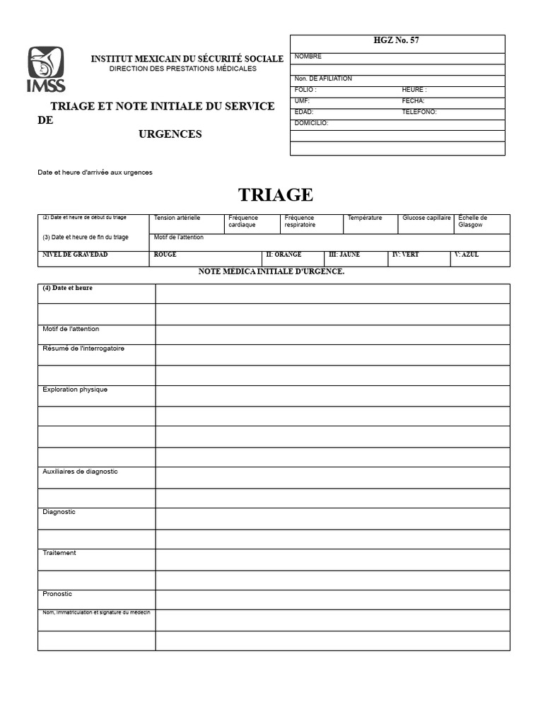 Triage et Note Initiale d'Urgence | PDF