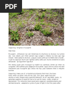 Download Coppicing Haki Kola by Haki Kola SN95832587 doc pdf