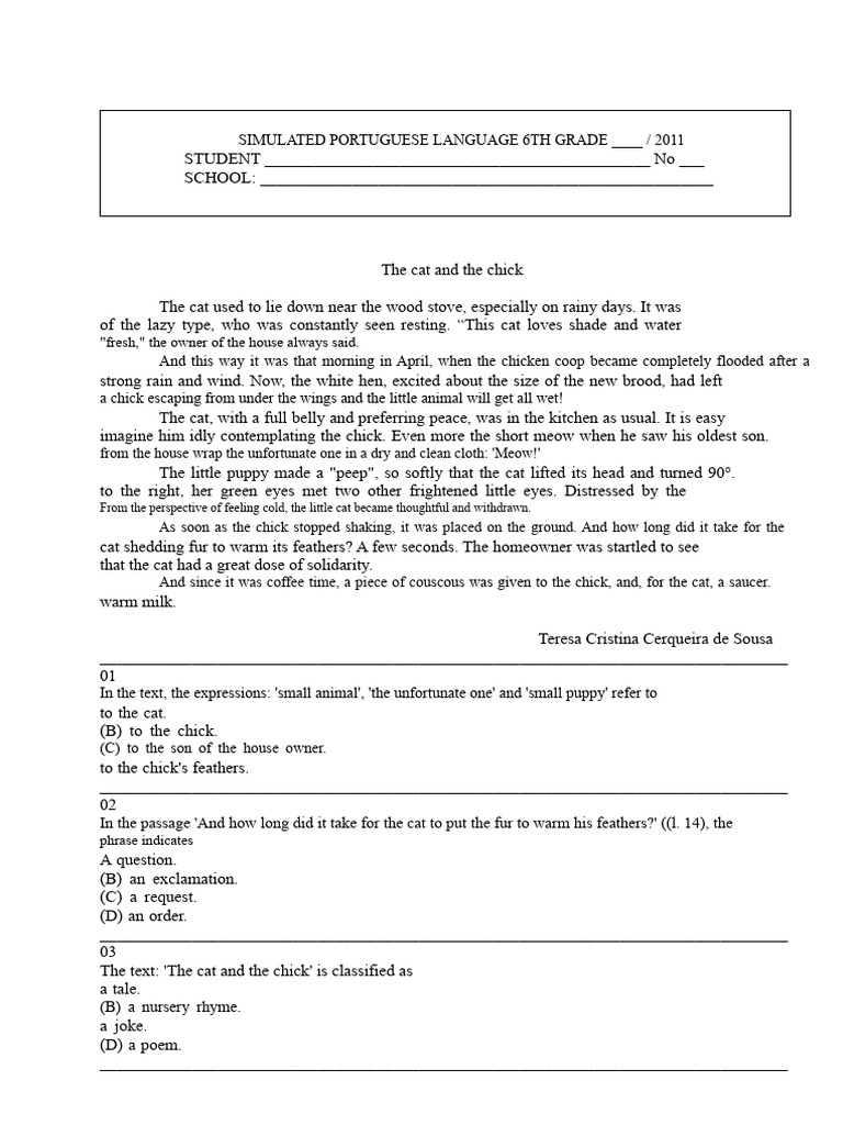 6th Grade Portuguese Language Stories | PDF
