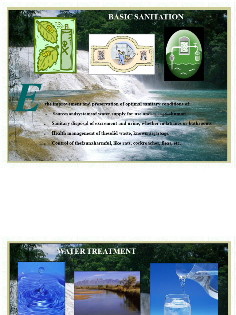 Essential Guide to Basic Sanitation | PDF | Sanitation | Waste