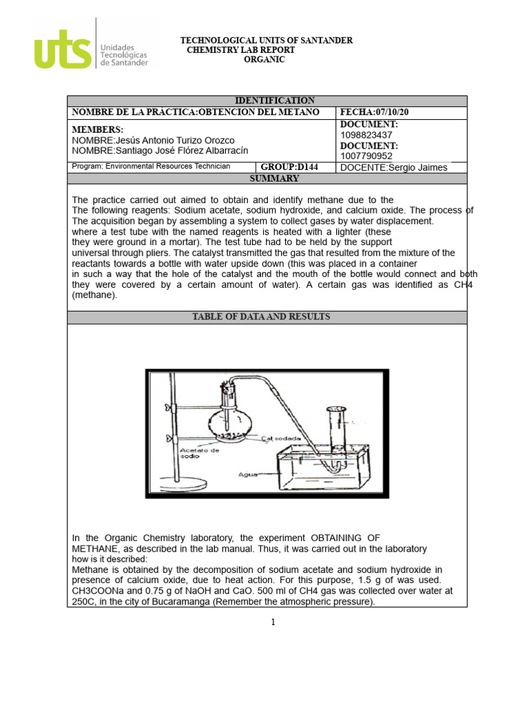 Report On Methane Obtaining | PDF | Gases | Methane