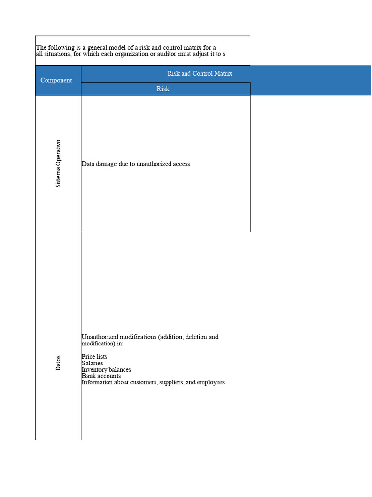 Risk and Control Matrix For Information Systems | PDF | Databases ...