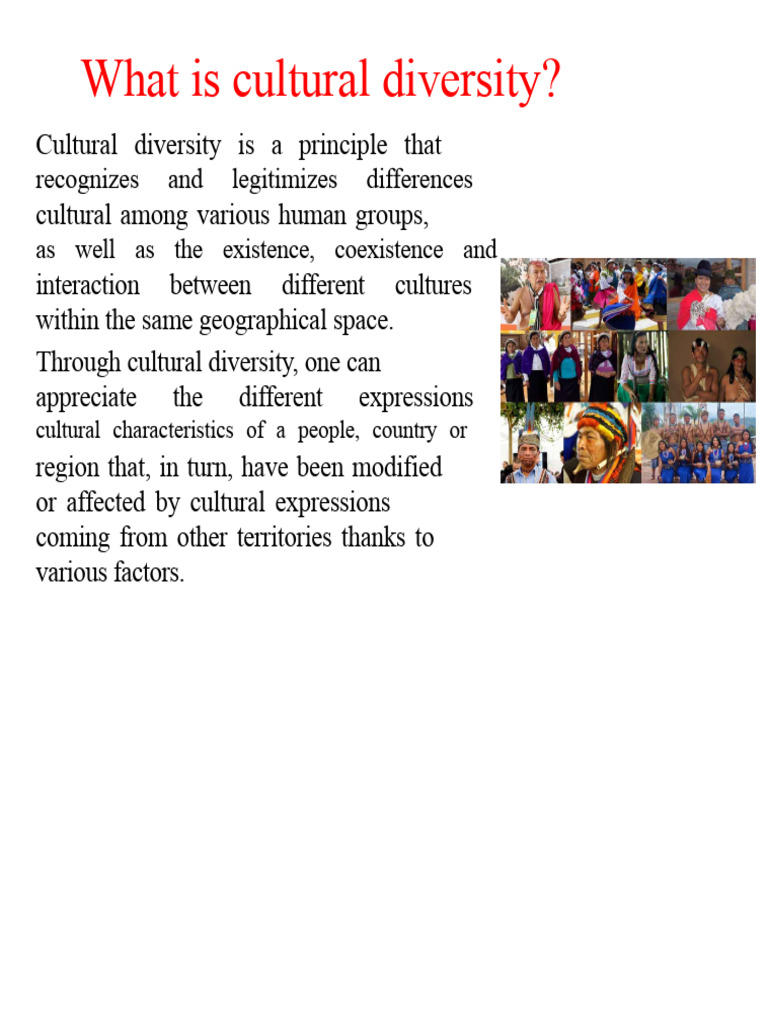 Understanding Cultural Diversity Explained | PDF | Interculturalism ...