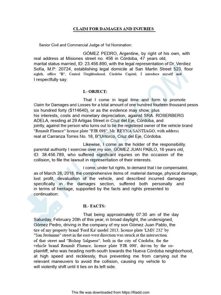 Example of Civil Lawsuit in Argentina | PDF | Damages | Expense