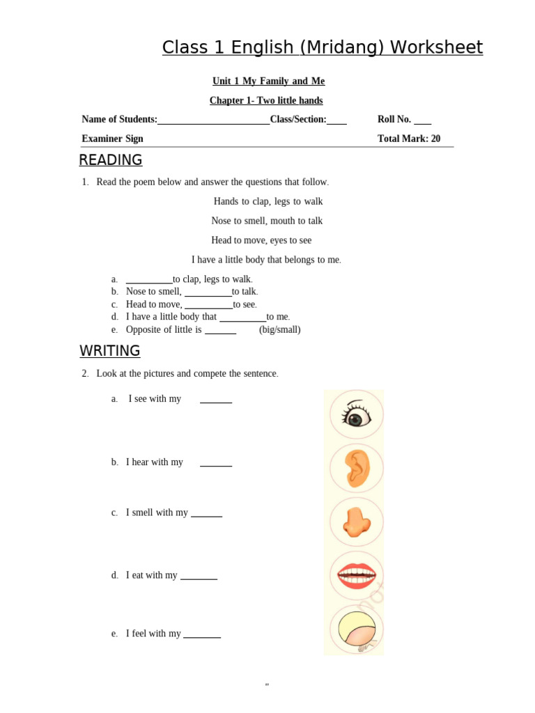 Class 1 English Term 1 | PDF | Birds