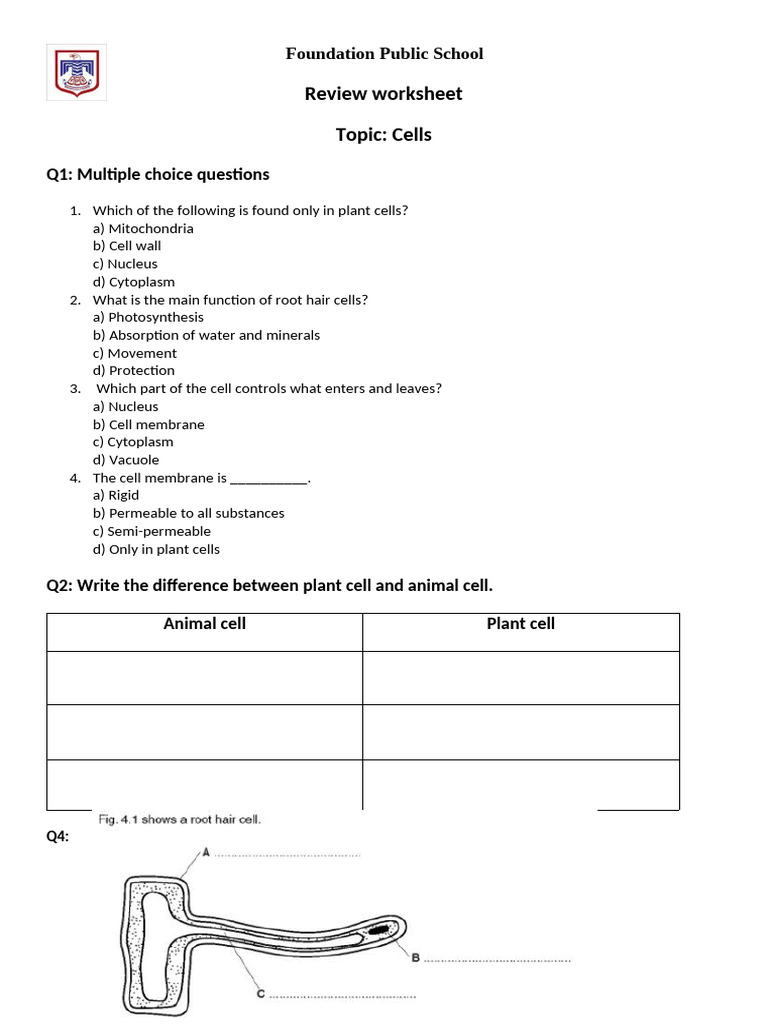 Cells Worksheet for Students | PDF | Cell (Biology) | Plants