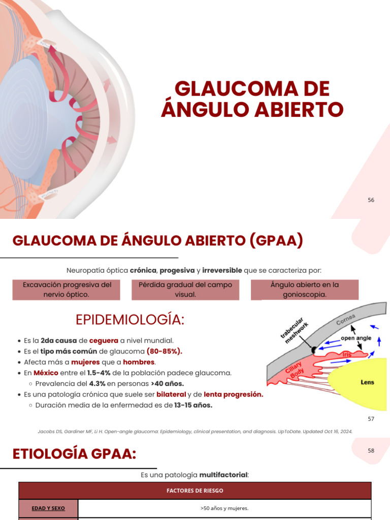 Glaucoma 2 56 110 | PDF | Glaucoma | Oftalmología