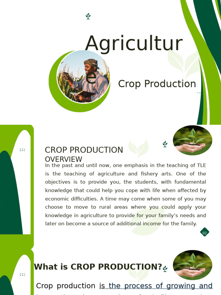 Module 3 q3 Lesson 1 and 2 Agriculture Crop Production | PDF ...
