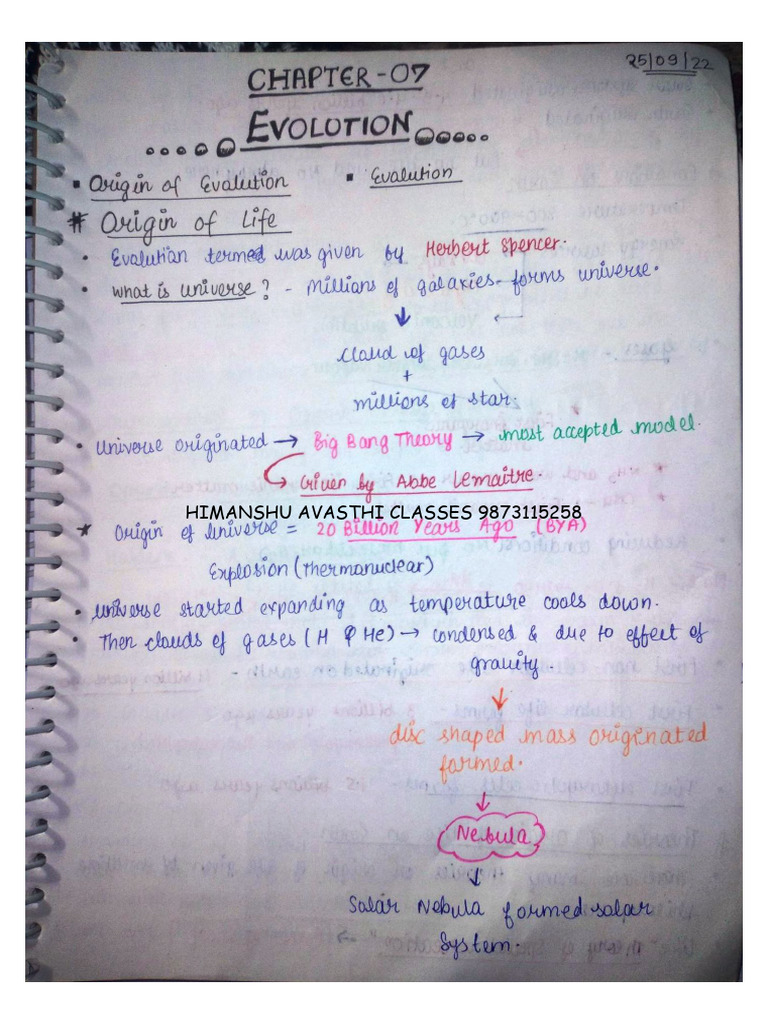Chapter 7 Evolution (2) | PDF