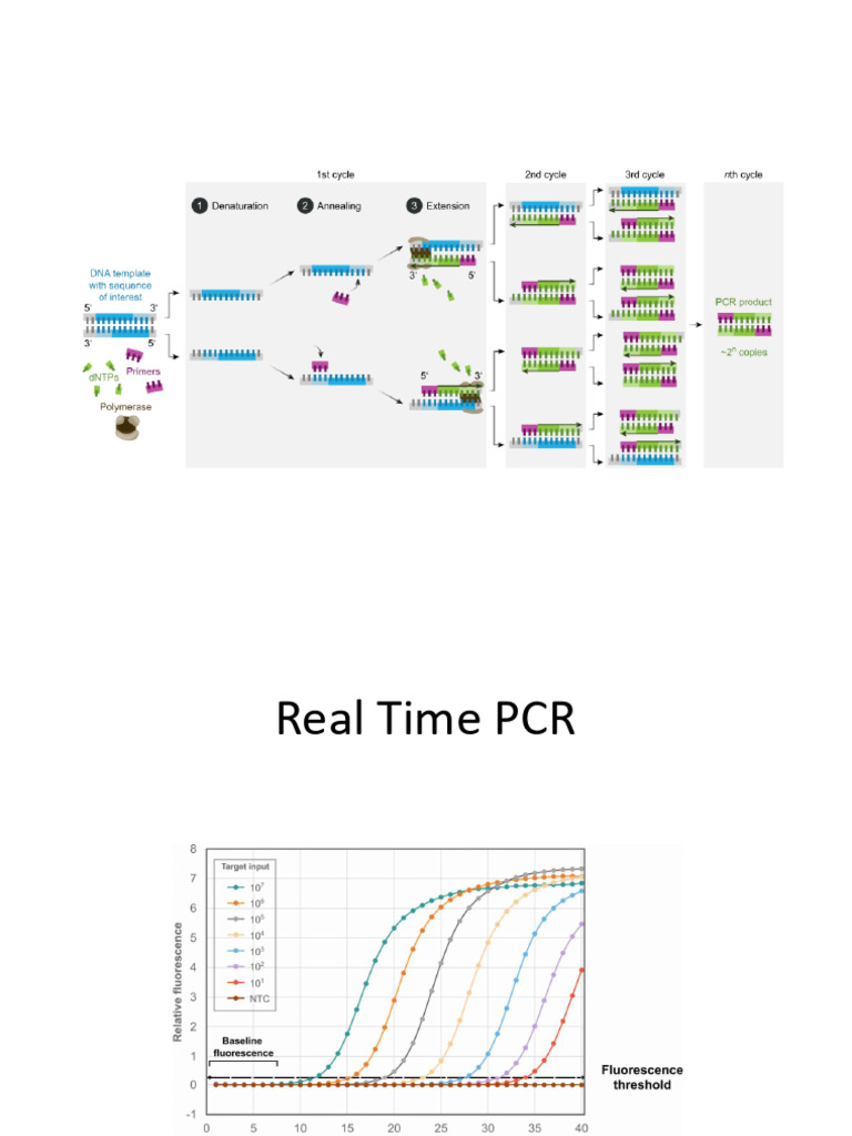 RNA Sequencing Workflow Guide | PDF | Complementary Dna | Dna Sequencing