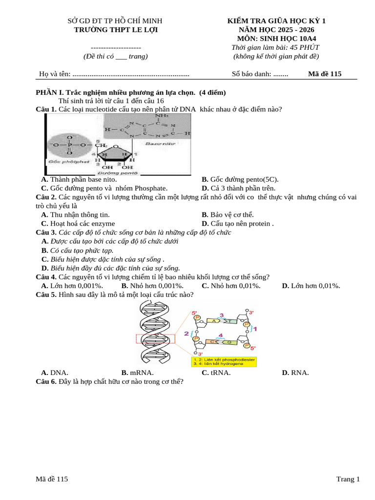 Ma de 115 | PDF