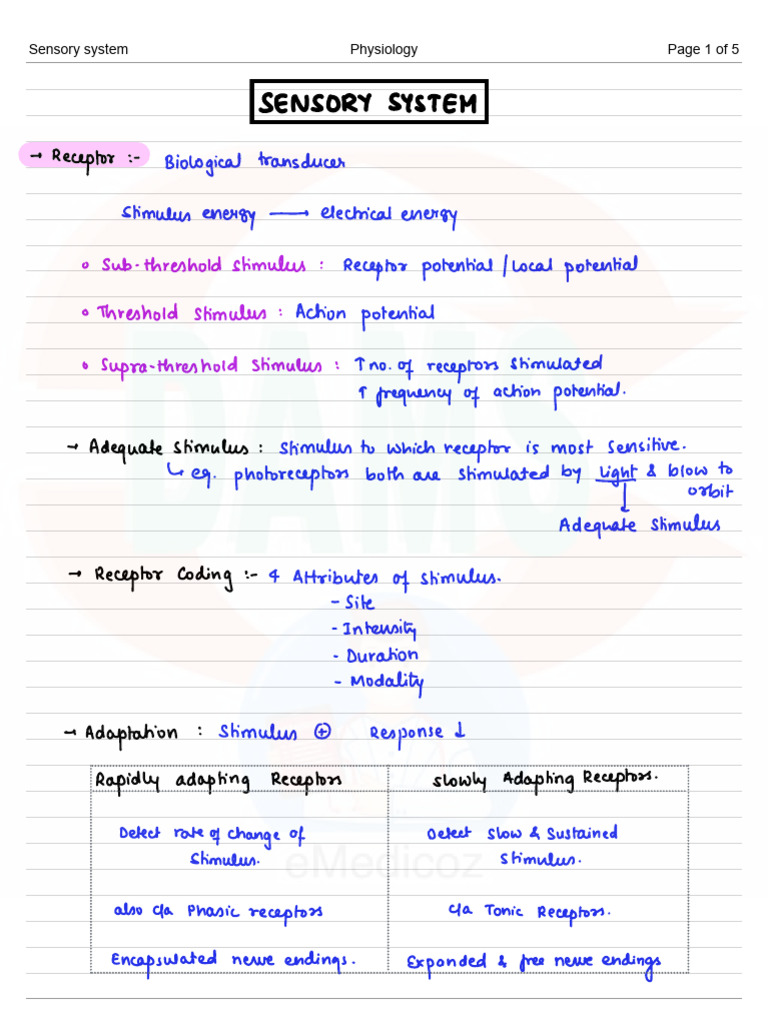 Overview of Sensory Physiology | PDF