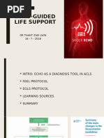 BLUE Protocol for Lung Ultrasound | PDF | Lung | Medical Ultrasound