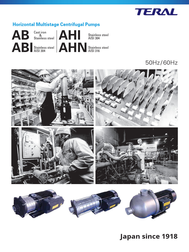 Horizontal Multistage Pumps Overview | PDF | Pump | Mechanical Engineering