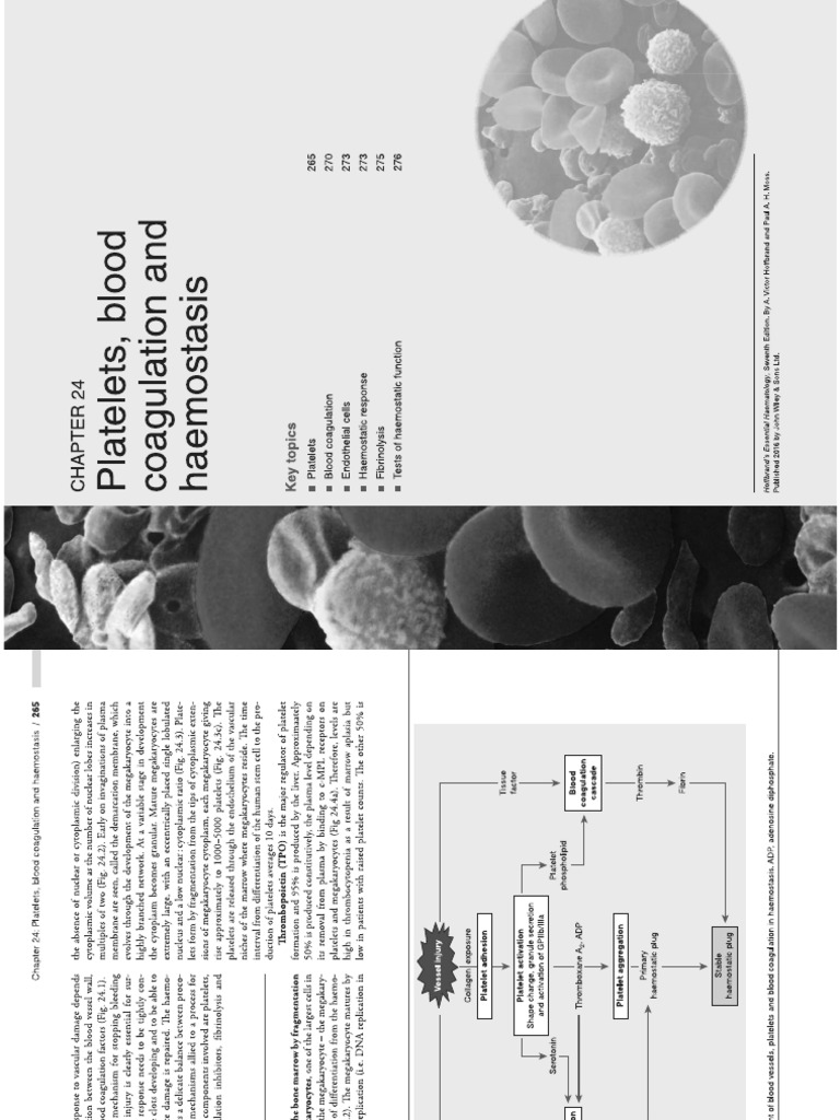 Hemostasis | PDF