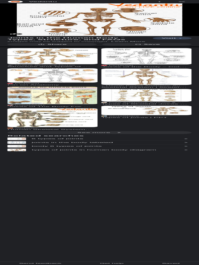 Body Joints Name - Google Search | PDF