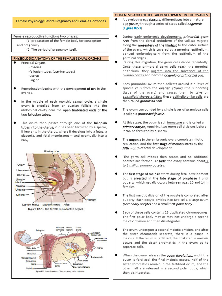 Female Reproductive Physiology Overview | PDF | Menstrual Cycle ...