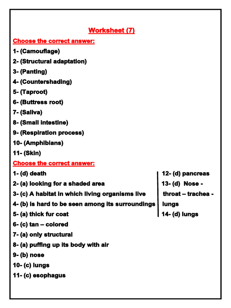 Worksheet | PDF