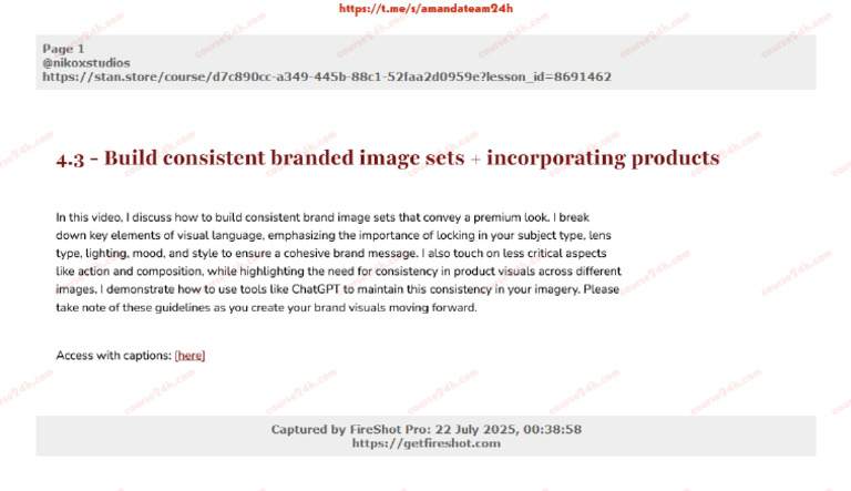 03-43 - Build Consistent Branded Image Sets Incorporating Products | PDF