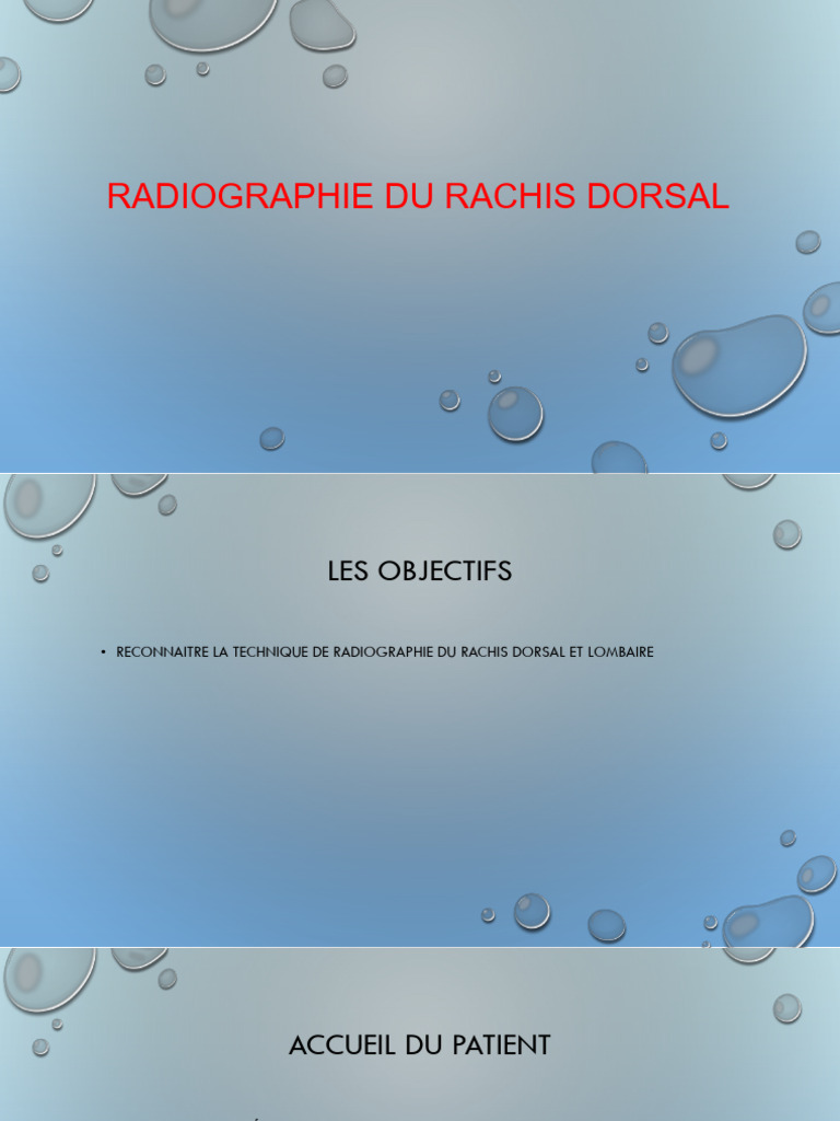 Radiographie du Rachis Dorsal: Guide Pratique | PDF | Vertèbre ...