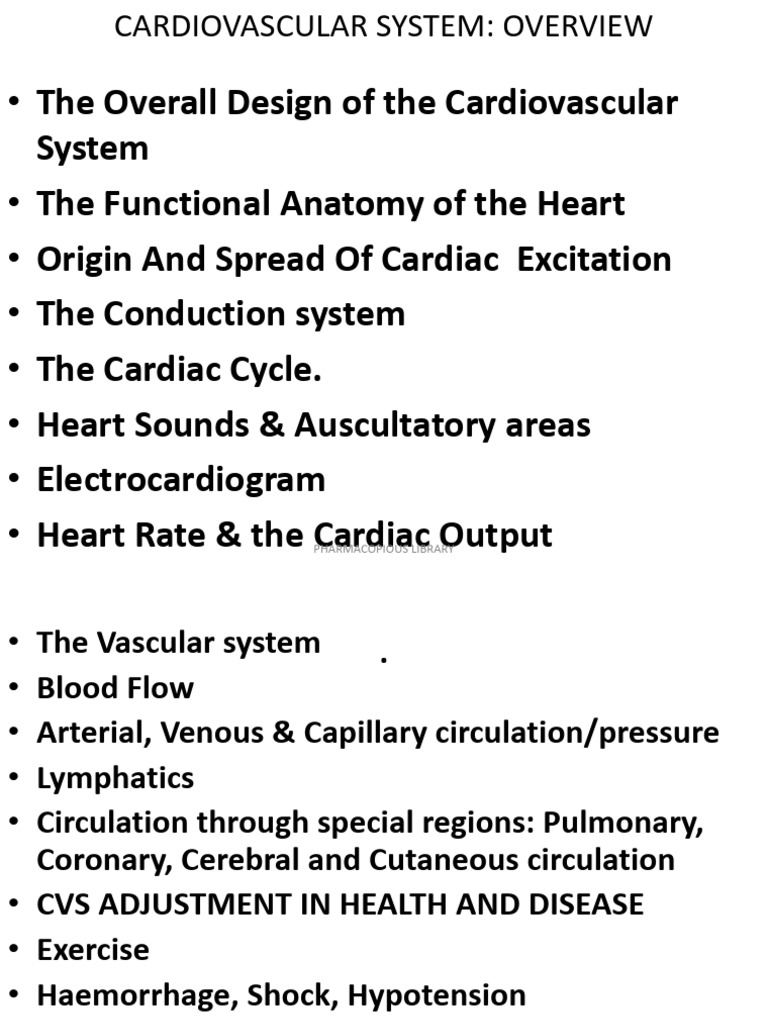 Cardiovascular System Overview and Functions | PDF | Diastole ...