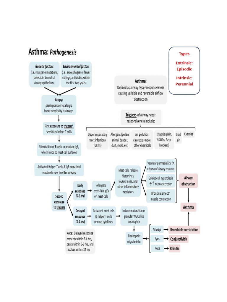 Asthma | PDF